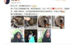 吃瓜黑料精品一区 吃瓜爆料大事件真相,吃瓜爆料大事件真相全解析